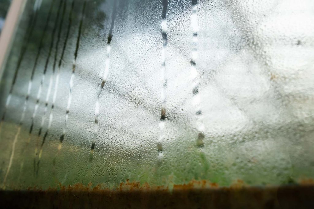fogy window
