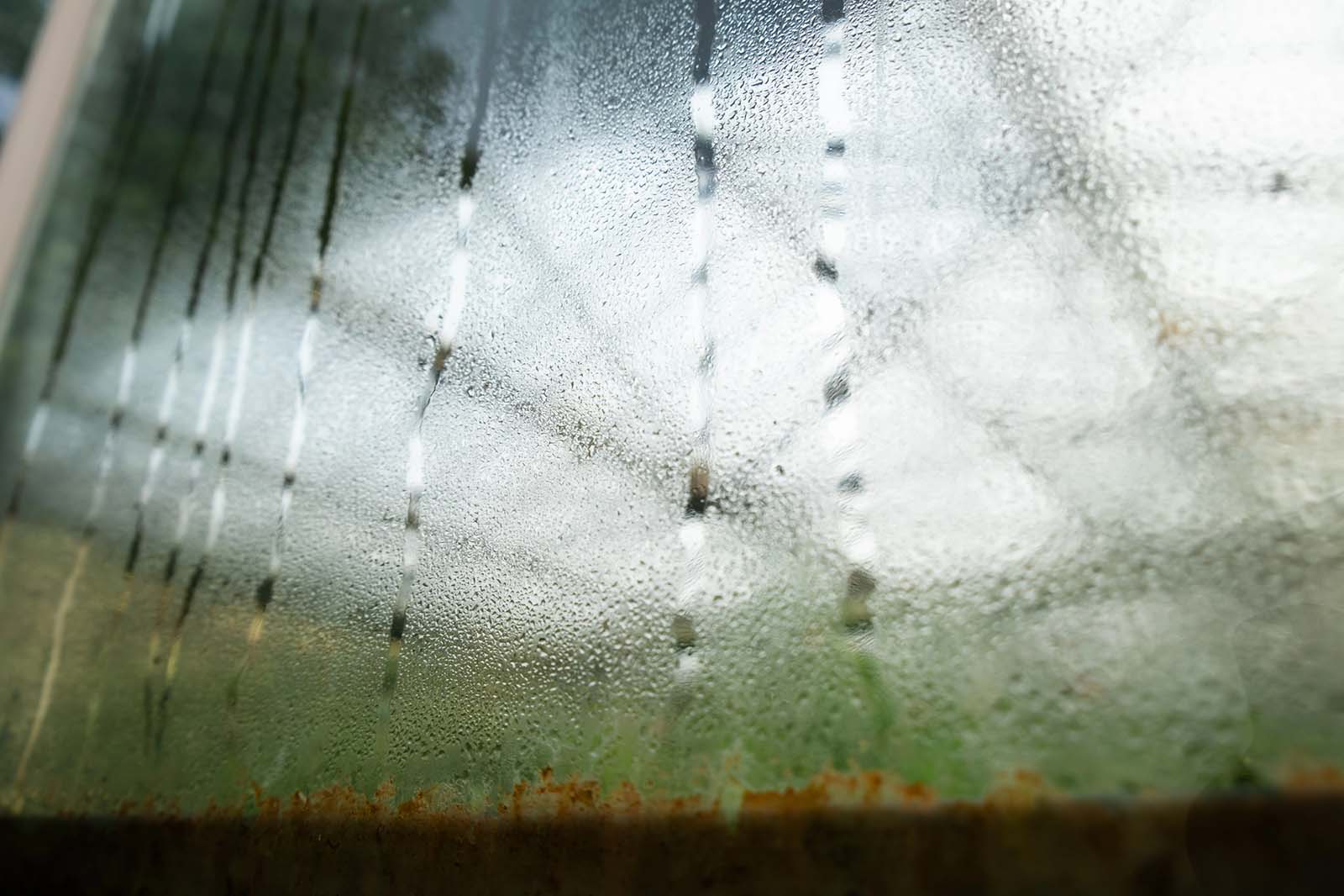 fogy window